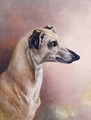 Head of a Greyhound - H. Morley Park