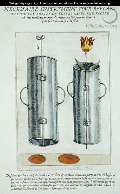 Device for re-planting flowers, from Hortus Floridus, published 1614-15 - Crispijn van de Passe