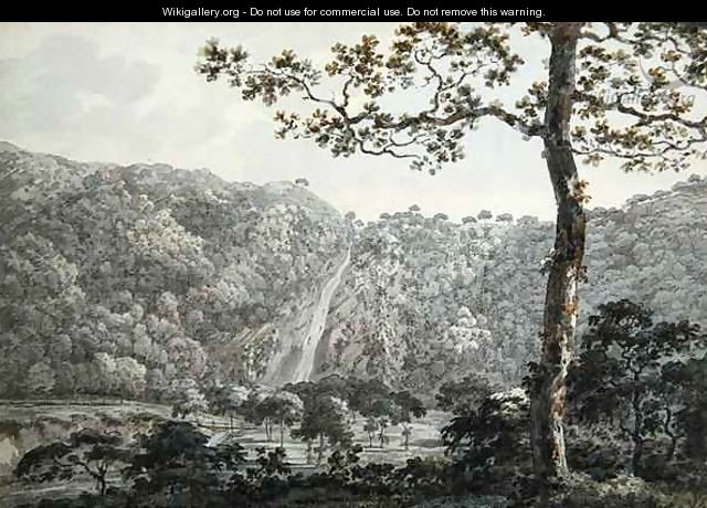 The Falls at Powerscourt, Co. Wicklow, Ireland - William Pars