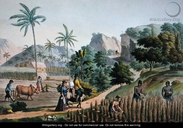 Island of Guam Agricultural Works, from Voyage Autour du Monde sur les Corvettes de LUranie 1817-20 engraved by Pomel, published 1825 - (after) Pellion, Alphonse