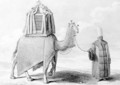 The Sacred Camel - Alexis-Alexandre Perignon