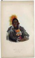 Wah ro nee sah, An Ottoe Chief - George Catlin