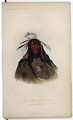 H'co-a-h'co-a-h'cotes-min, a Flat Head Warrior - George Catlin