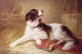 Portrait of a Spaniel - Zacharias Noterman