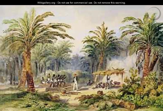 The Fabrication of Palm Oil at Whydah - Edouard Auguste Nousveaux