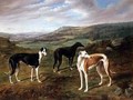Greyhounds - Benjamin Cam Norton