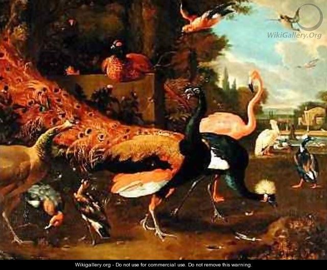 Ornamental Fowl - Adriaen van Oolen