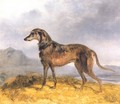 Scottish Deerhound - John Frederick Herring Snr