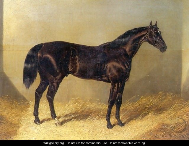 Saddler Dark Bay Racehorse in Stable - John Frederick Herring Snr