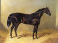 Saddler Dark Bay Racehorse in Stable - John Frederick Herring Snr