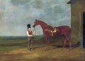 Mountaineer A Chestnut Colt 1826 - John Frederick Herring Snr
