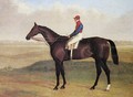 Lord Chesterfields Racehorse Don John - John Frederick Herring Snr