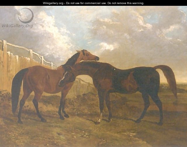 Languish and Pantaloon Two Horses in Landscape - John Frederick Herring Snr