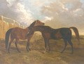 Languish and Pantaloon Two Horses in Landscape - John Frederick Herring Snr