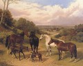 Horse in Surrey Pastures - John Frederick Herring Snr