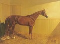 Grimston A Chestnut Racehorse - John Frederick Herring Snr