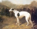 Greyhound by a Fence - John Frederick Herring Snr