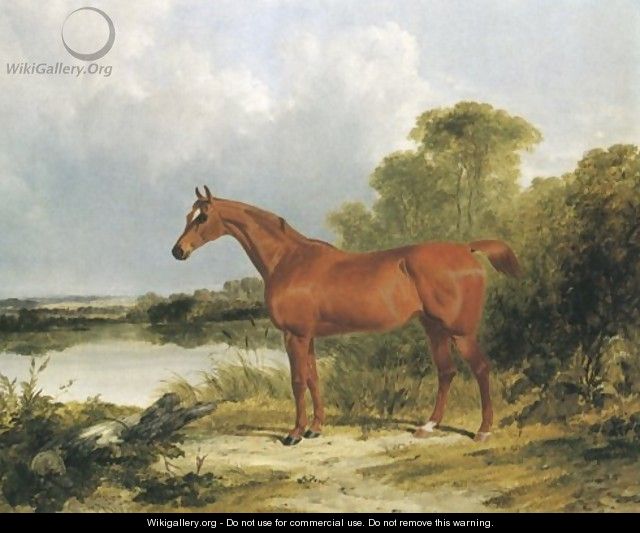 A Chestnut Hunter 1838 - John Frederick Herring Snr