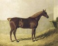 A Chestnut Horse in a Stable - John Frederick Herring Snr