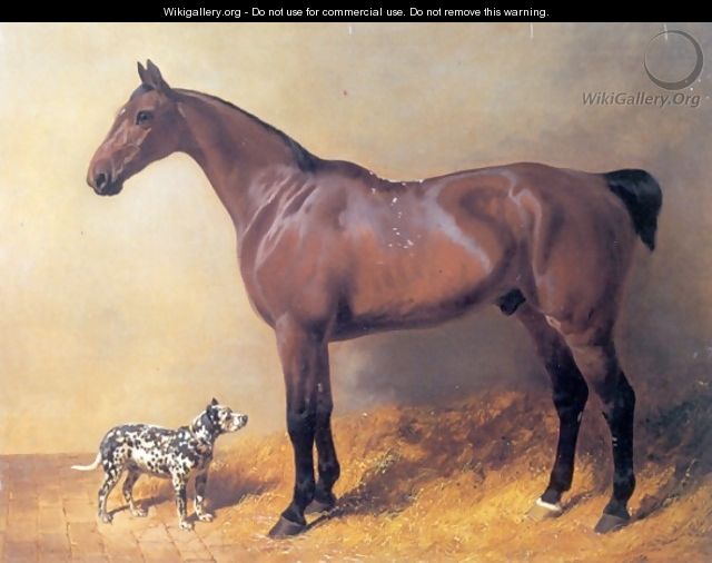 A Bay Hunter and Spotted Dog in a Stable 1846 - John Frederick Herring Snr