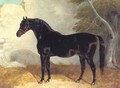 Dark Bay Racehorse in Courtyard - John Frederick Herring Snr