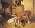 Contentment 1848 In the Barn - John Frederick Herring Snr