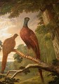 Cock and Hen Pheasant on a Roost - John Frederick Herring Snr