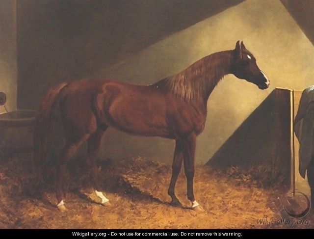 Chestnut Racehorse In Stall - John Frederick Herring Snr