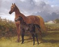 Chestnut Mare And Foal - John Frederick Herring Snr