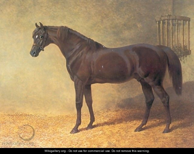 Chestnut Colt Gladiator in Stable 1844 - John Frederick Herring Snr