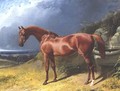 Chestnut A Racehorse - John Frederick Herring Snr