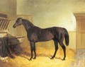 Charles XII a Brown Racehorse in a Stable - John Frederick Herring Snr