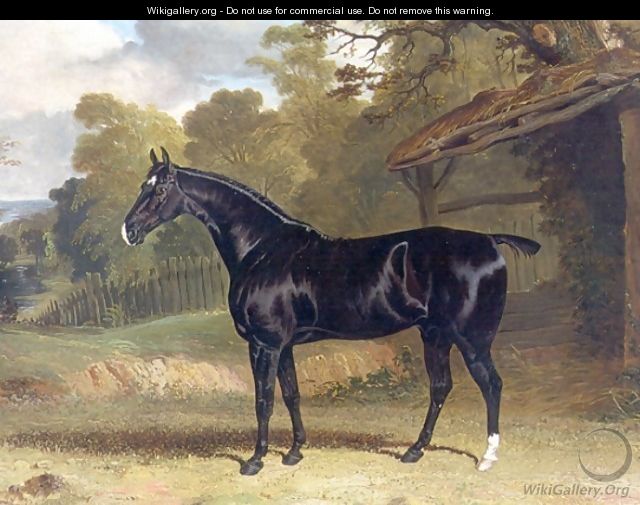 Black Tom a Black Hunter Beside a Stable 1830 - John Frederick Herring Snr