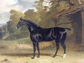 Black Tom a Black Hunter Beside a Stable 1830 - John Frederick Herring Snr