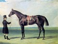 Bay Colt Chorister 1831 - John Frederick Herring Snr