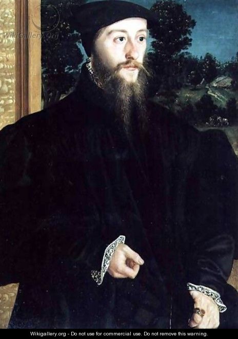 Portrait of a Bearded Gentleman - Christoph Amberger