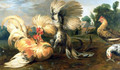 The cockfight - Frans Snyders