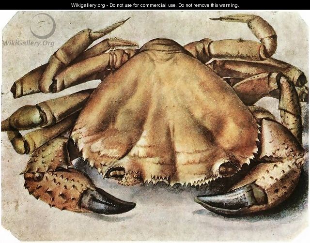 Lobster 2 - Albrecht Durer