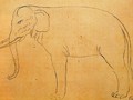 Drawing of an elephant - Giuseppe Arcimboldo