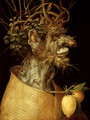 The Winter - Giuseppe Arcimboldo