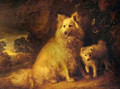 Pomeranian Bitch and Puppy - Thomas Gainsborough