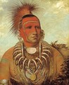 Shon-ta-yi-ga, Little Wolf, a Famous Warrior - George Catlin