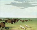 Buffalo Hunt under the Wolf-skin Mask - George Catlin