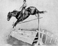 Five-Foot Hurdle Bareback - Frederic Remington