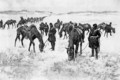 Cavalry Column out of Forage - Frederic Remington