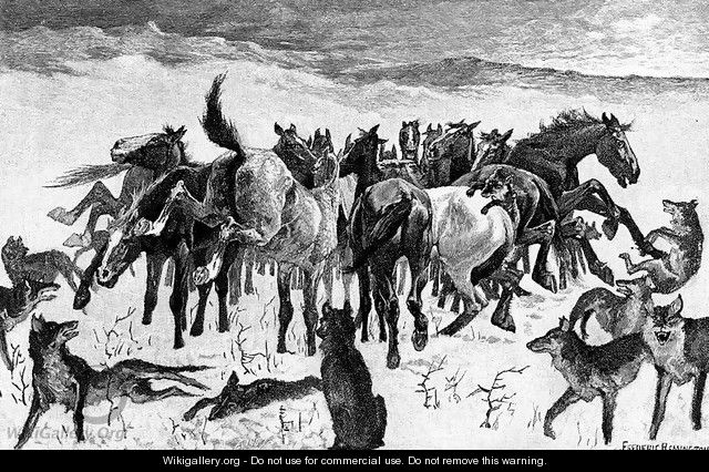 Broncos and Timber Wolves - Frederic Remington