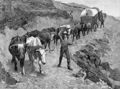 An Ox Train in the Mountains - Frederic Remington