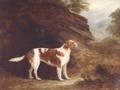 Standing Dog - John Ferneley, Snr.