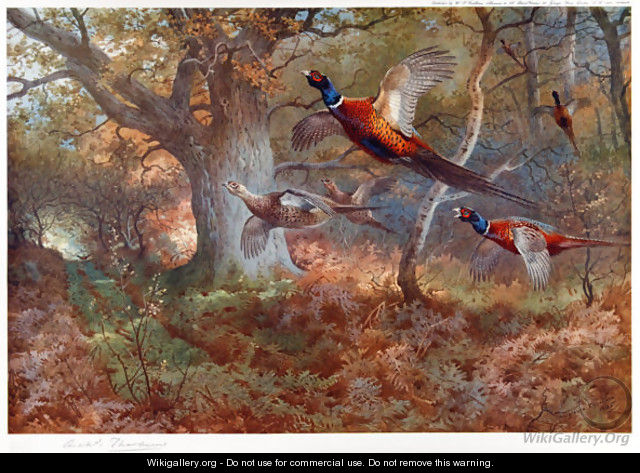 Pheasants Through the Oak Wood - Archibald Thorburn