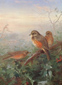 Out in the Cold - Archibald Thorburn